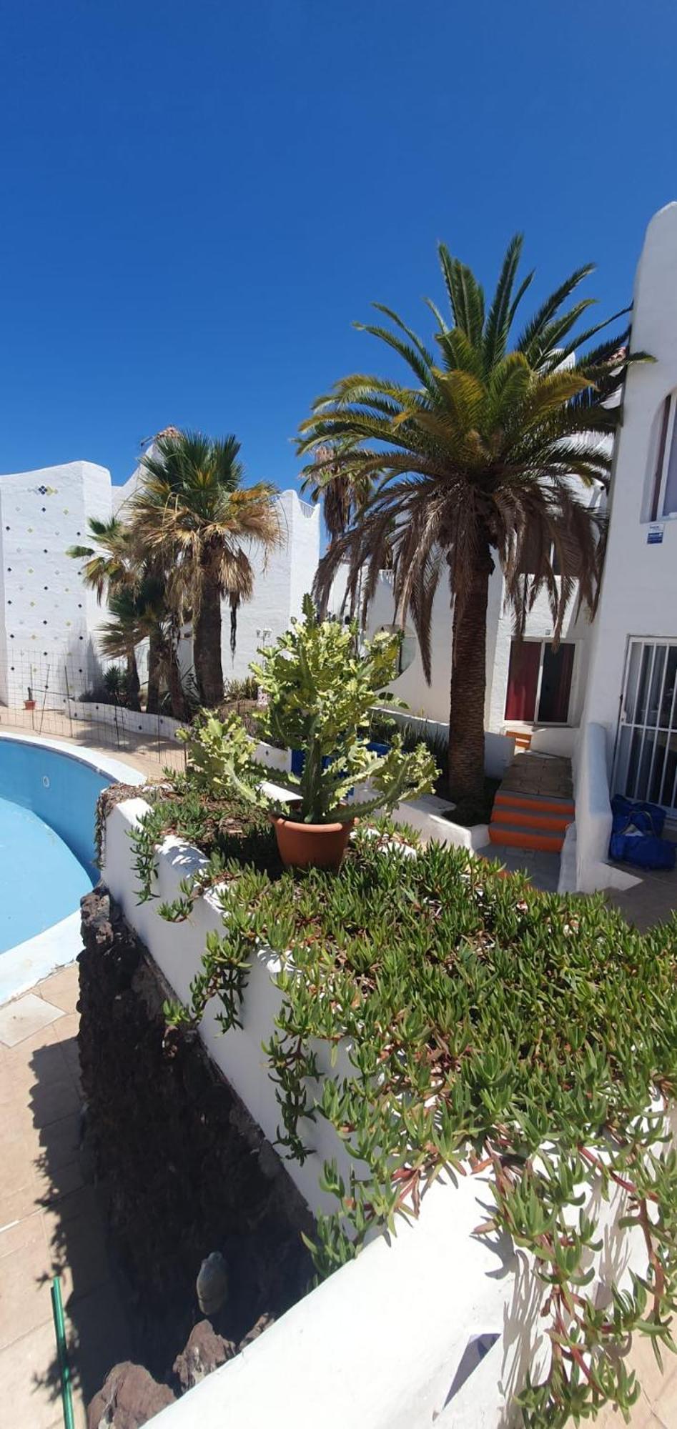 Wonderful White Appartament In Las Tortugas Playa de las Americas  Exterior photo