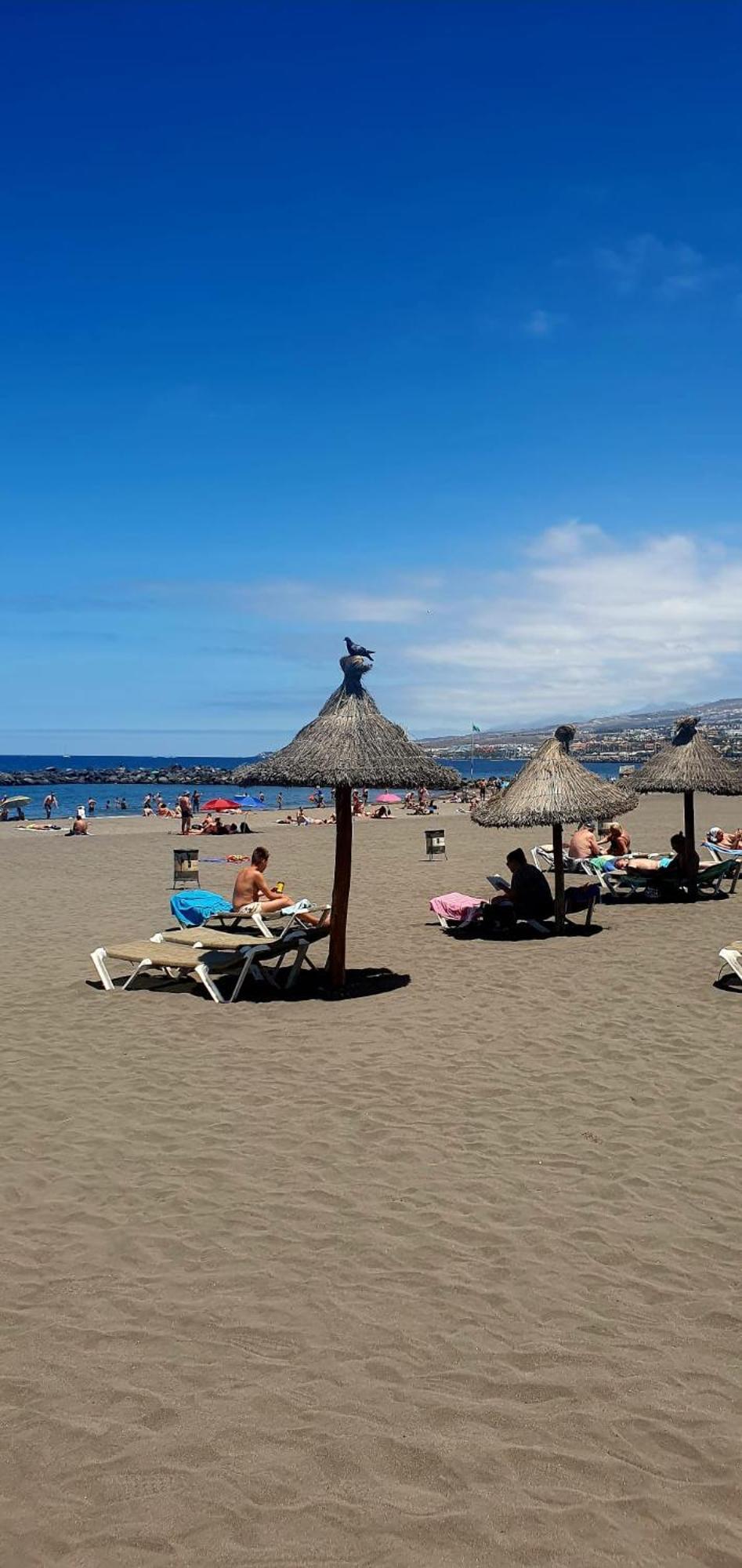 Wonderful White Appartament In Las Tortugas Playa de las Americas  Exterior photo